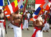 Fotos Sri Lanka Monscheinfest