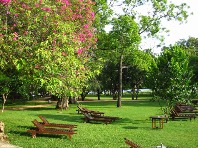 Bilder Sri Lanka 