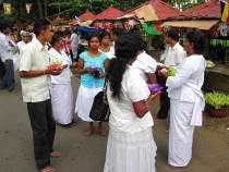 Bilder Sri Lanka Impressionen
