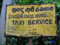 Taxischild