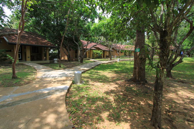 Bilder Sri Lanka