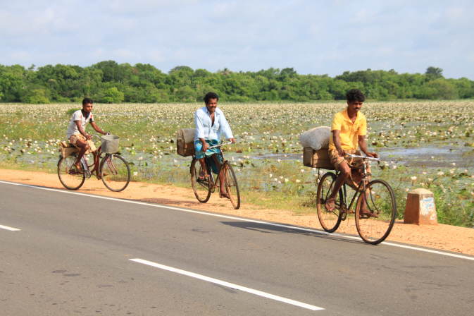 Bilder Sri Lanka
