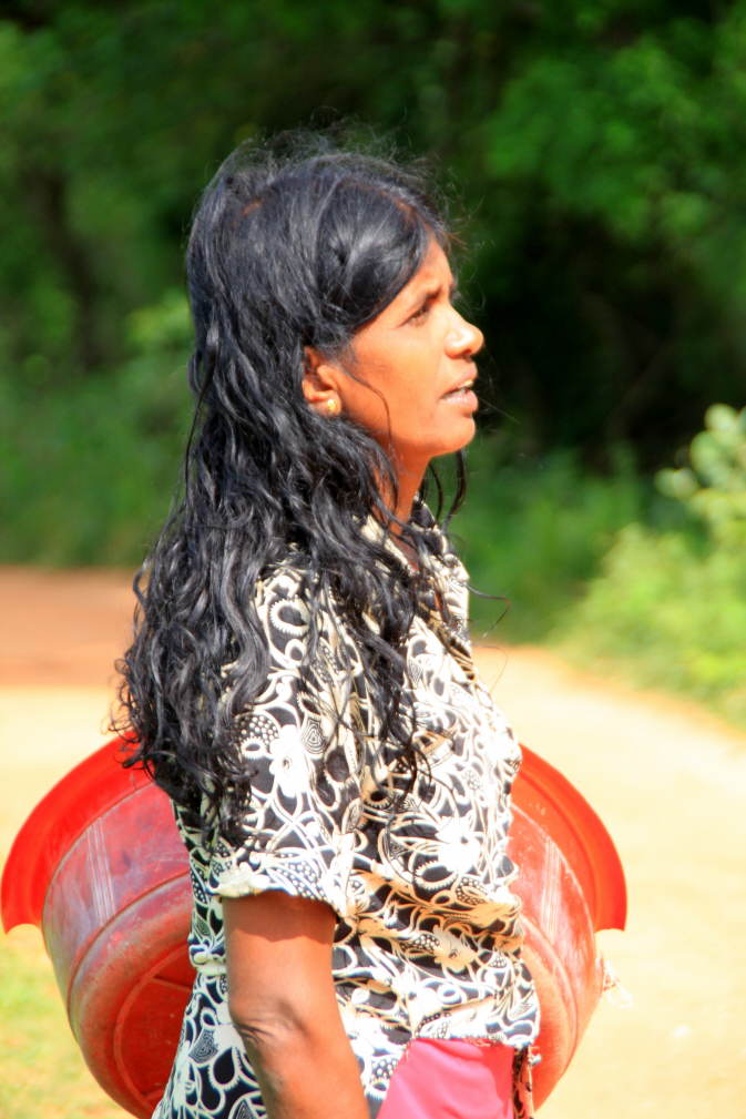 Bilder Sri Lanka