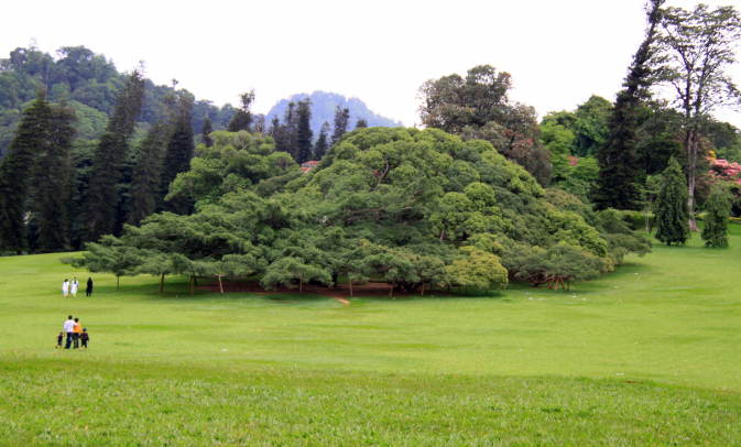 Botanischer Garten