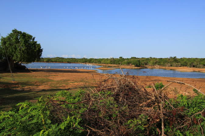 Park