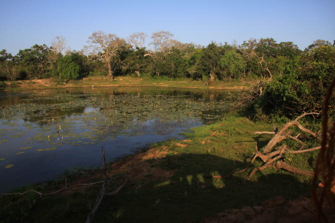 Yala Nationalpark