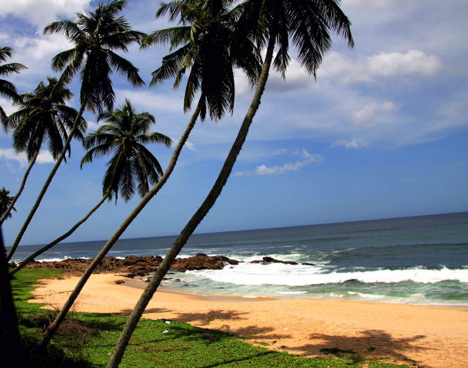 Strand