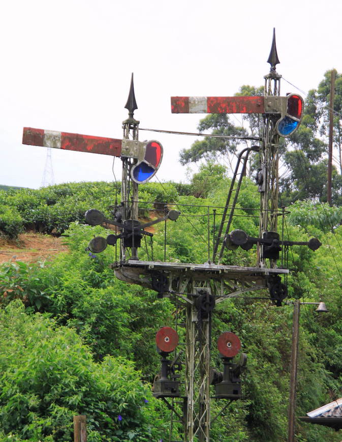 Signal