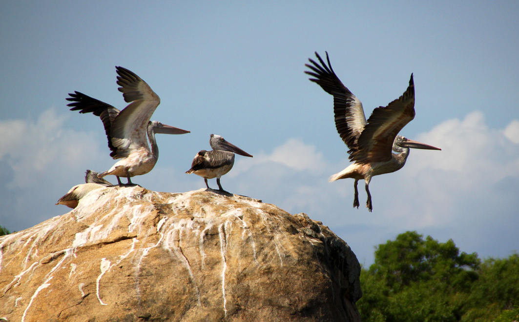Yala Nationalpark